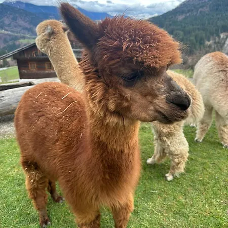 Haus Stabentheiner *