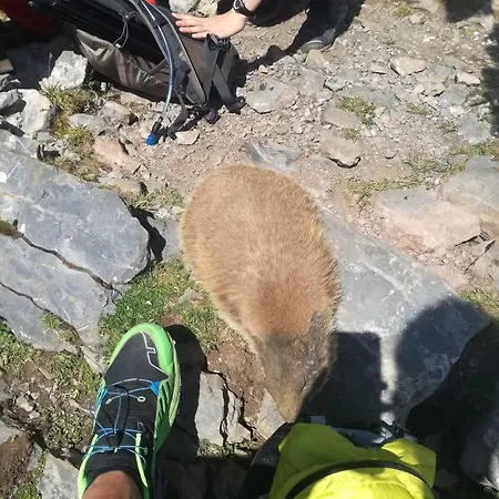 Haus Stabentheiner Lägenhet