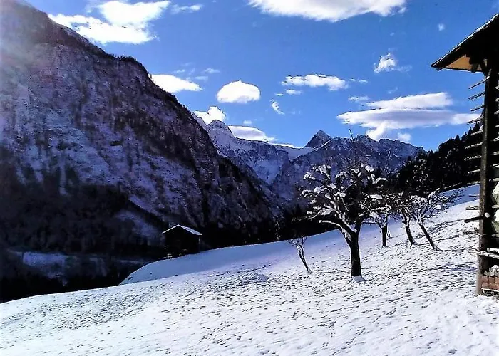 Haus Stabentheiner Apartamento Birnbaum
