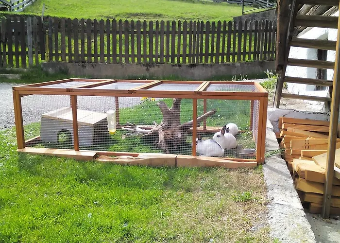 Haus Stabentheiner 公寓 伯恩鲍姆