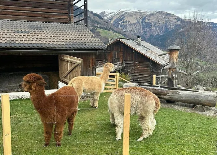 Haus Stabentheiner 公寓 伯恩鲍姆