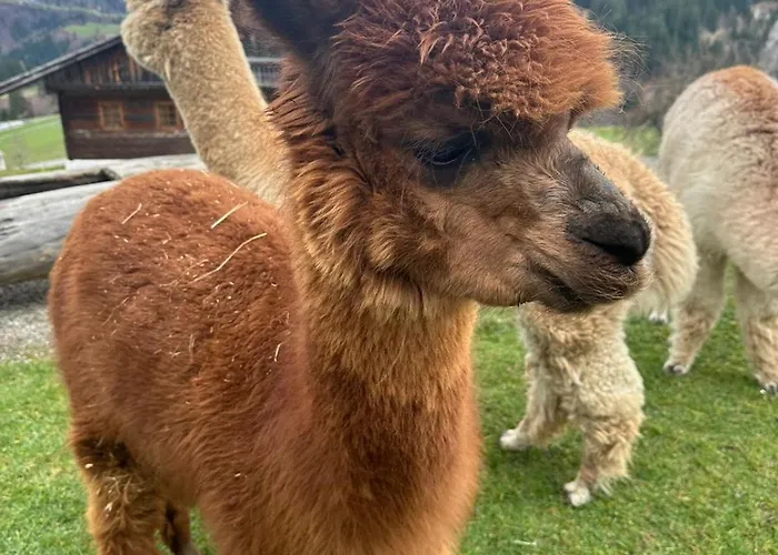 Haus Stabentheiner *