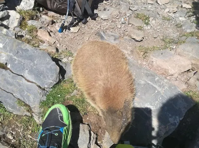 Haus Stabentheiner Apartamento